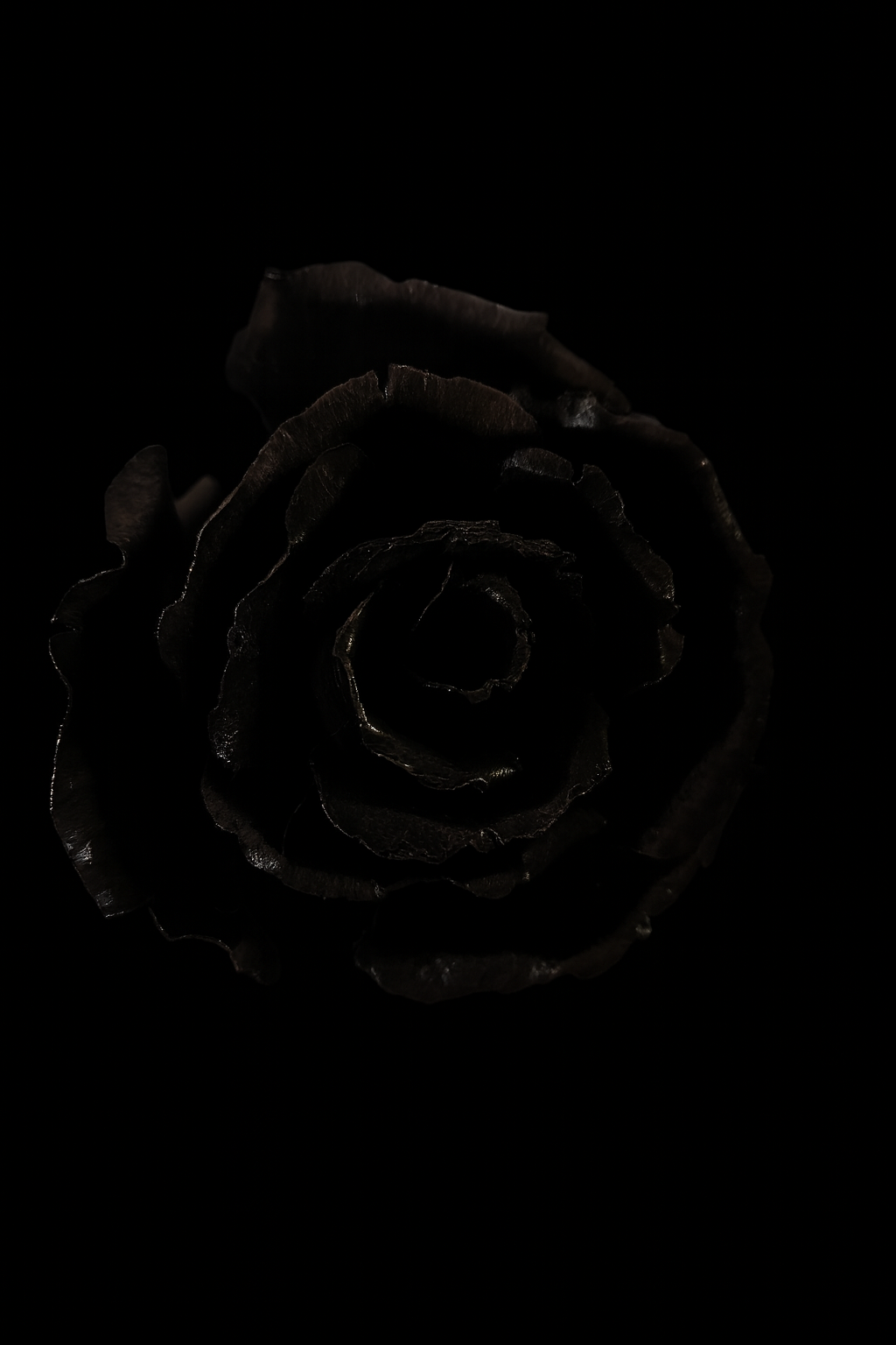 La Rosa Negre